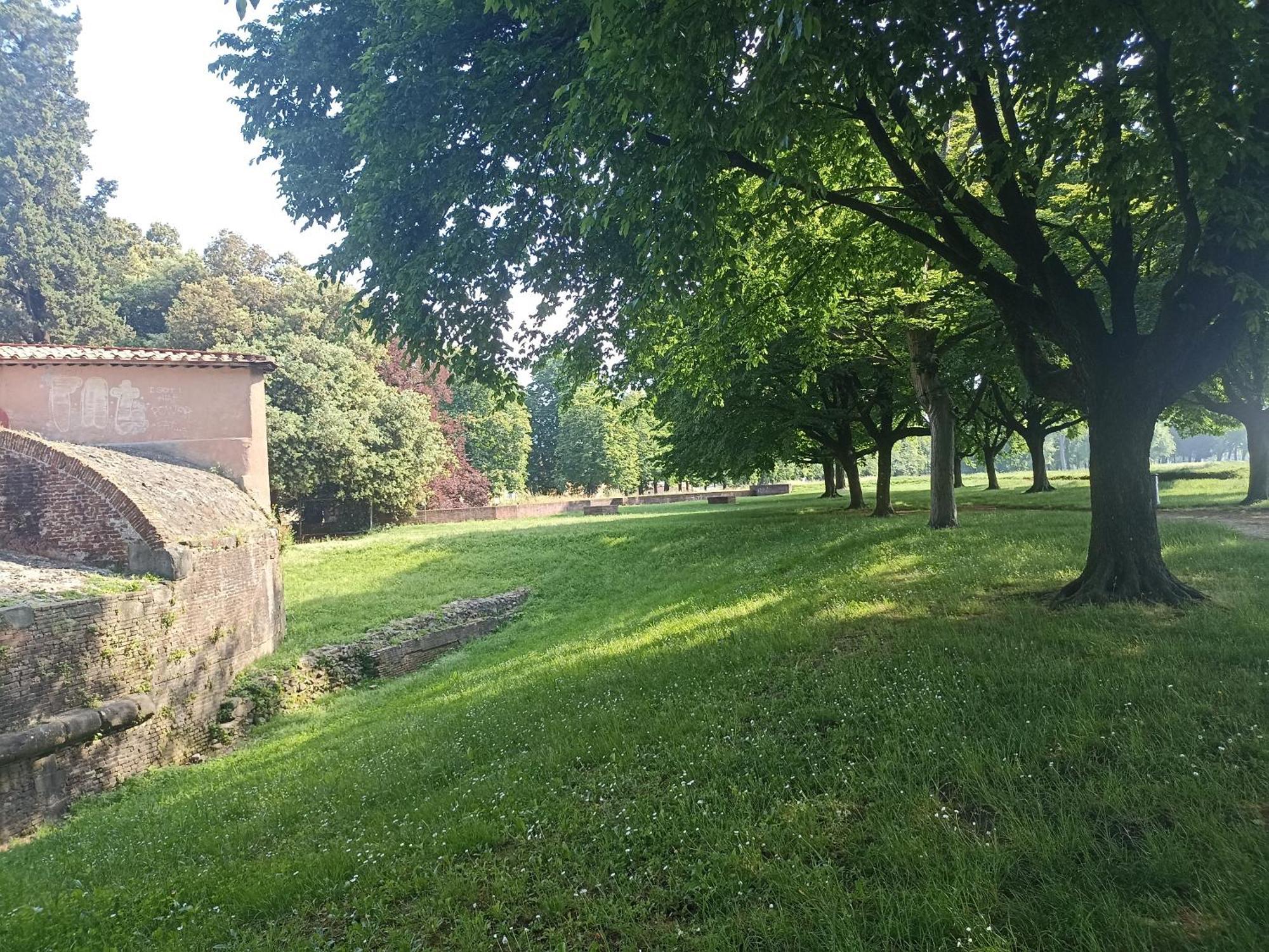 Gem In The City Center Of Lucca With Air Conditioning - Exclusive Ground Floor House Inside The Walls Close To Botanical Garden And Piazza San Martino Villa Esterno foto